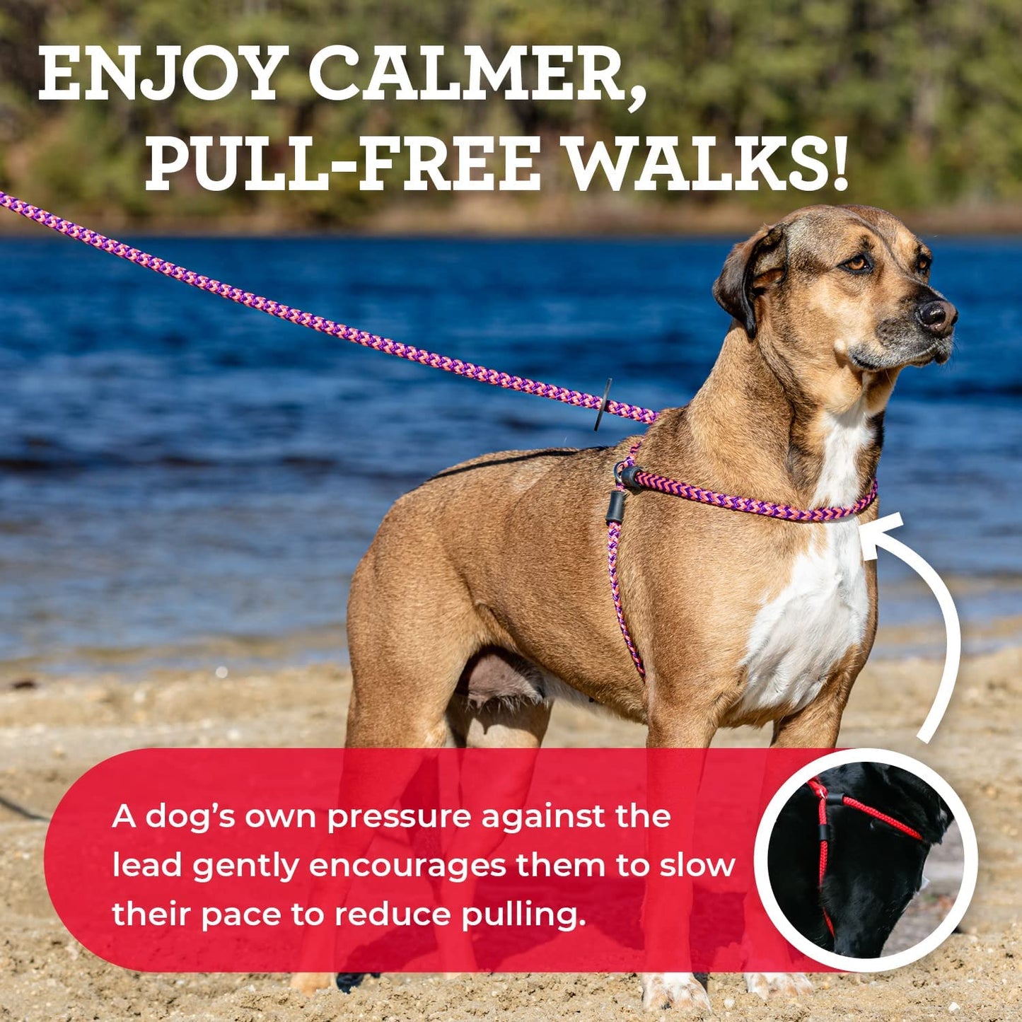 No Pull Dog Harness and Leash Set, anti Pull Dog Harness for All Breeds and Sizes, One-Piece Cushioned Rope Design Safely Prevents Escaping and Pulling (Small/Medium, Red/Reflective)